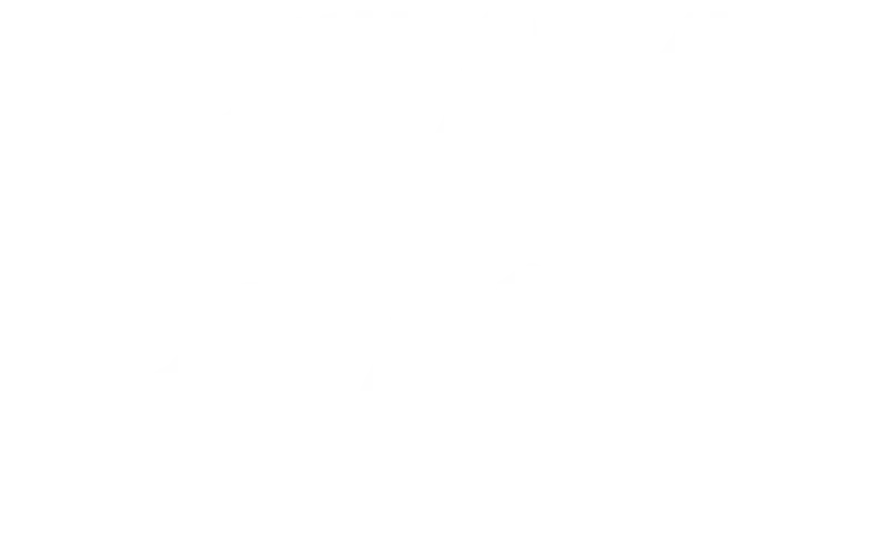 Festival Logo